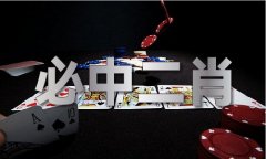 抖射免费V5912（2024已更新）—中国财富网